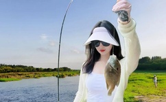 内射合集对白在线